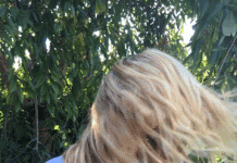 Aplikace, díky kterým si vytvoříte osobitý GIF