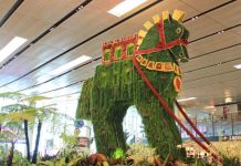 Kde mají to nejlepší a nejúžasnější letiště na světě?