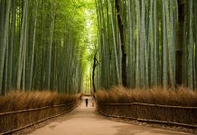 6 kouzelných míst, díky nimž si zamilujete Japonsko