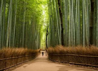 6 kouzelných míst, díky nimž si zamilujete Japonsko
