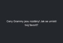 Ceny Grammy jsou rozdány! Jak se umístil tvůj favorit?