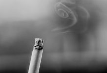 ANSA: Pasivní kouření škodí i psům a kočkám