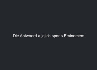 Die Antwoord a jejich spor s Eminemem