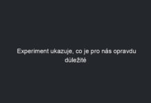 Experiment ukazuje, co je pro nás opravdu důležité