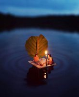 fiddle-oak-photography-13