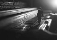 fiddle-oak-photography-15
