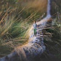 fiddle-oak-photography-17