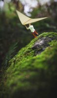 fiddle-oak-photography-18