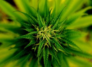 Ochutnej kafe pro stonery!