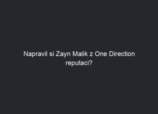 Napravil si Zayn Malik z One Direction reputaci?