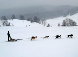 Slovensko se bude prezentovat coby země dobrých nápadů