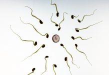 Spermobanka má problém – 36 dětí se narodilo ze spermií zločince