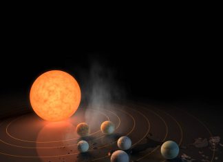 trappist
