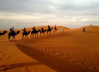 Tuaregové – život na poušti poušť s velbloudy